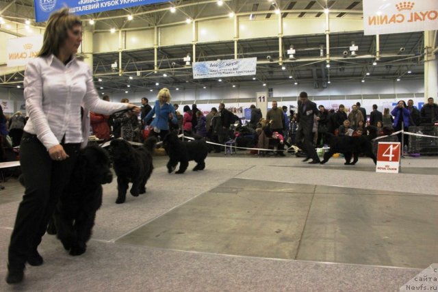 Фотография № 112693