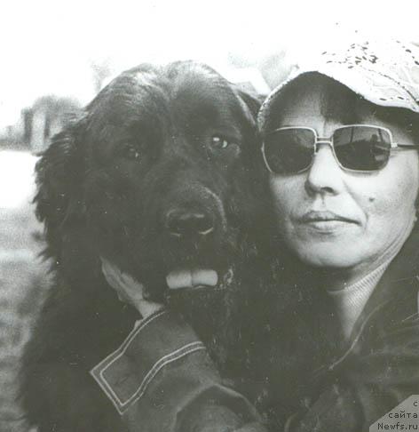 Фото: ньюфаундленд Ger Ama (Гер Ама)