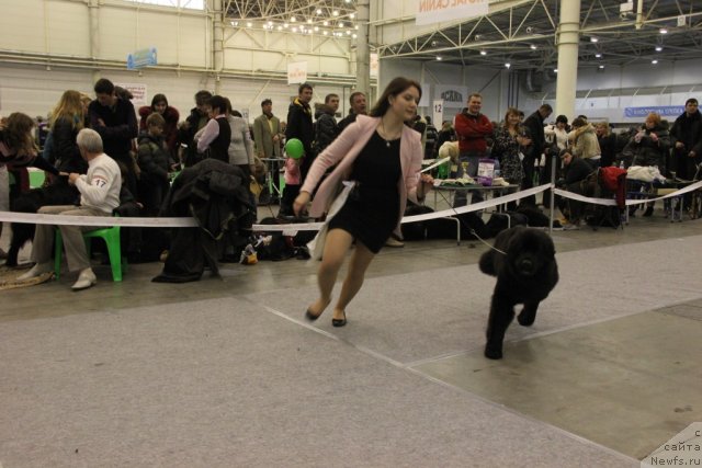 Фотография № 112702