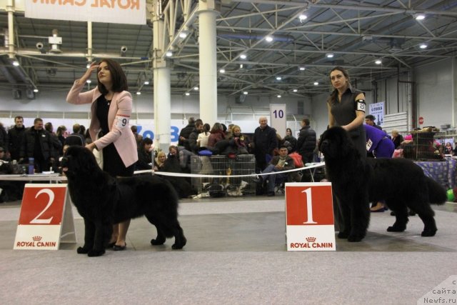 Фотография № 112704