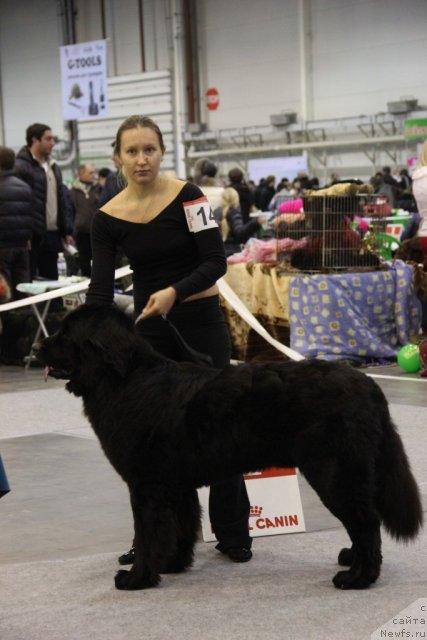 Фотография № 112708