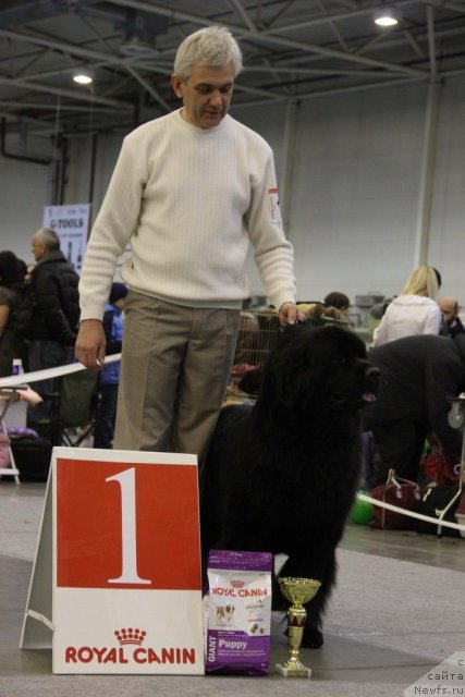 Фотография № 112716