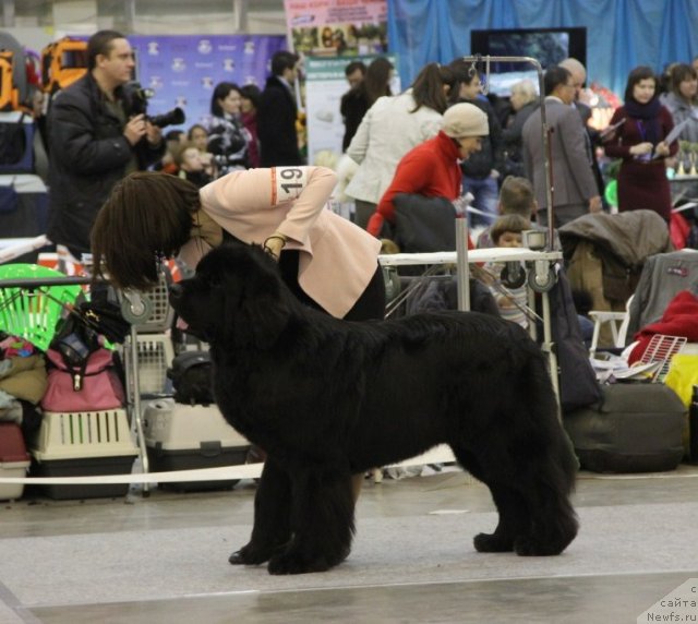 Фотография № 112719