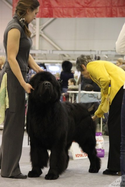 Фотография № 112728