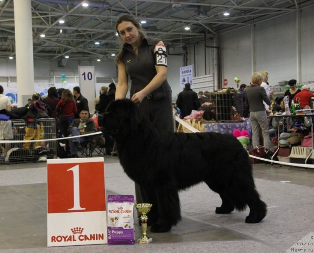 Фотография № 112738