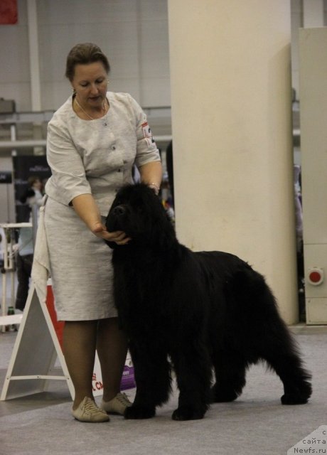 Фотография № 112743