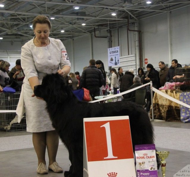 Фотография № 112745