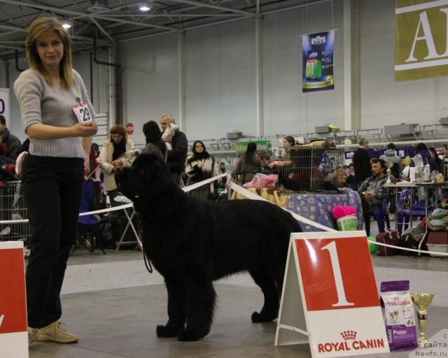 Фотография № 112750