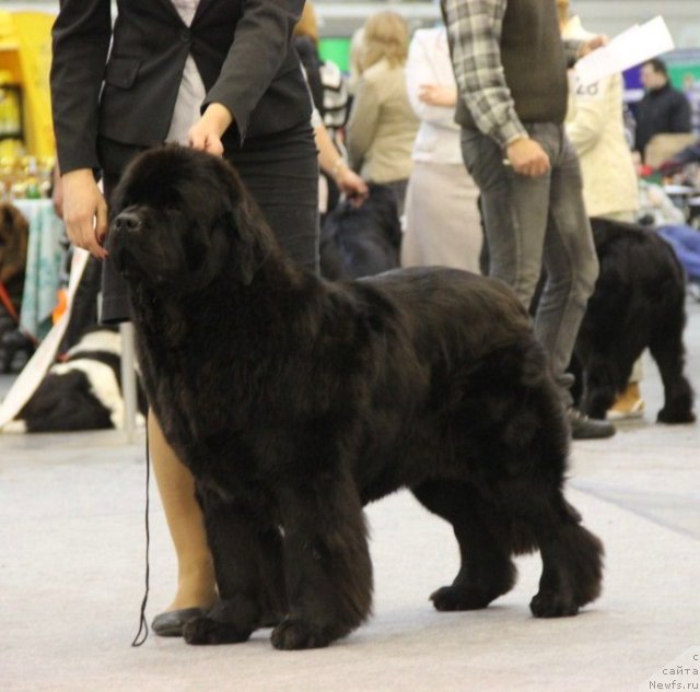 Фотография № 112751