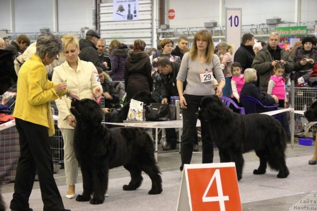 Фотография № 112755