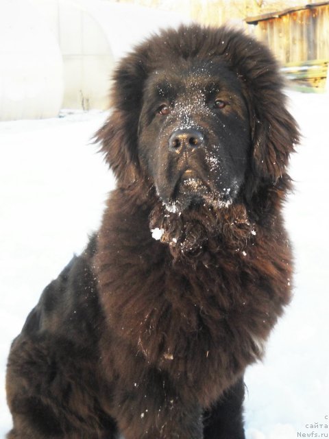 Фотография № 112757