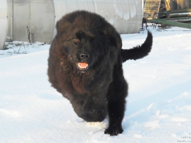 Фотография № 112758