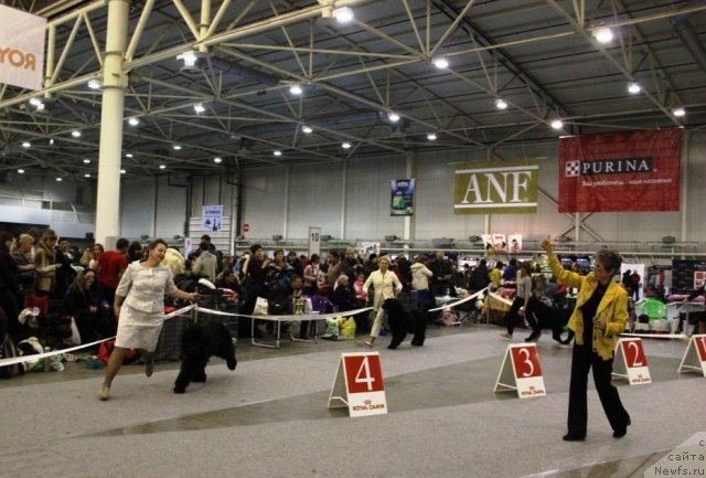 Фотография № 112759