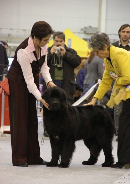 Фотография № 112762