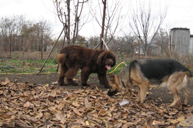 Фотография № 112765