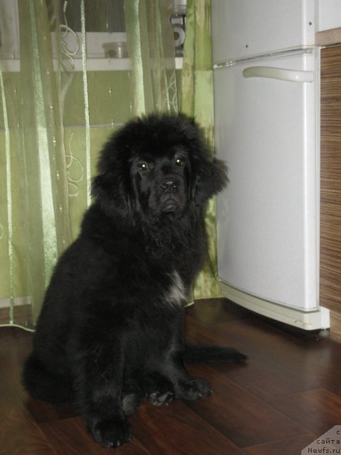 Фотография № 112766