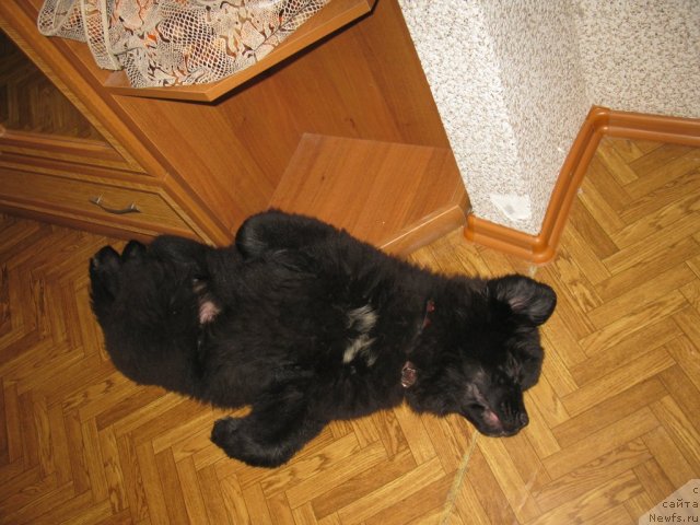 Фотография № 112768