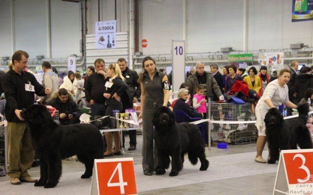 Фотография № 112769