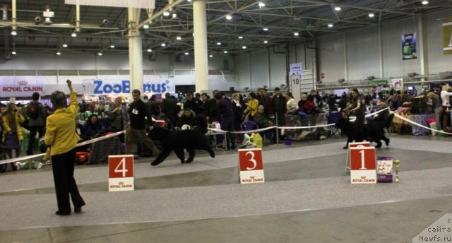 Фотография № 112772