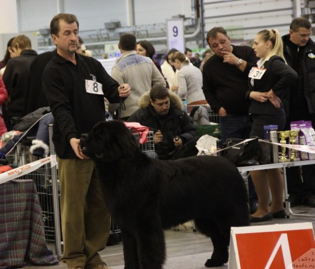 Фотография № 112773