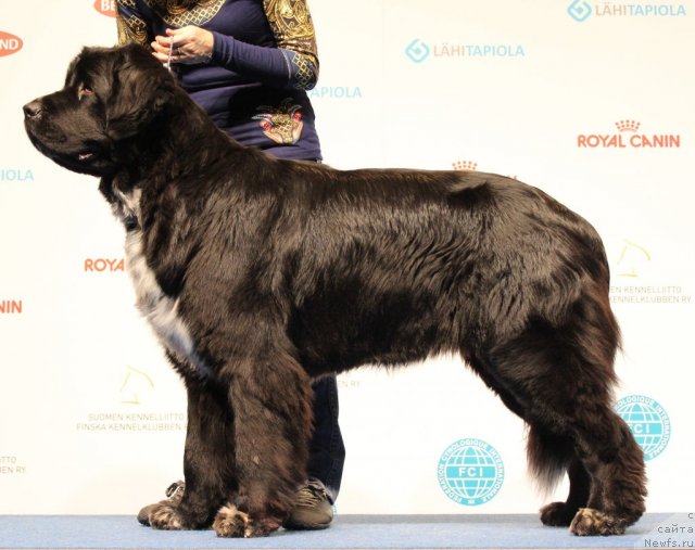 Фотография № 112791