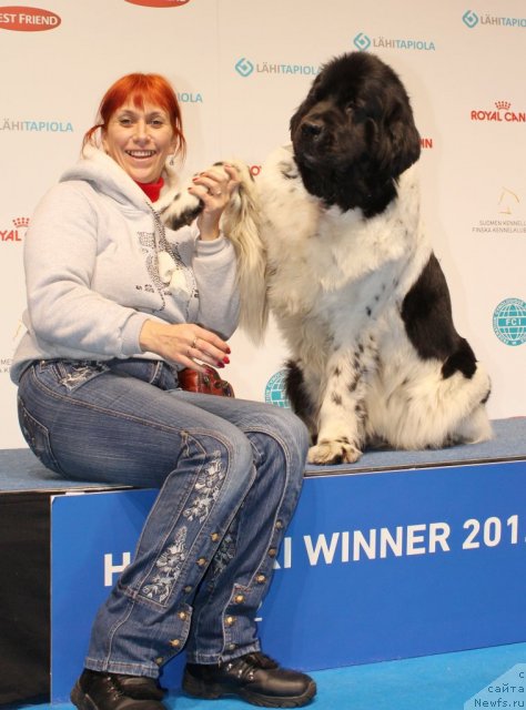 Фото: ньюфаундленд Don't Worry Be Happy de L'Etoile de Cyrice, Ekaterina Kormakova (Екатерина Кормакова)