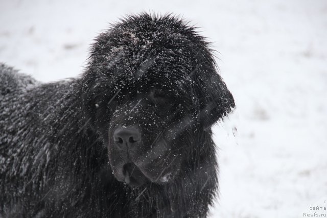 Фотография № 112801