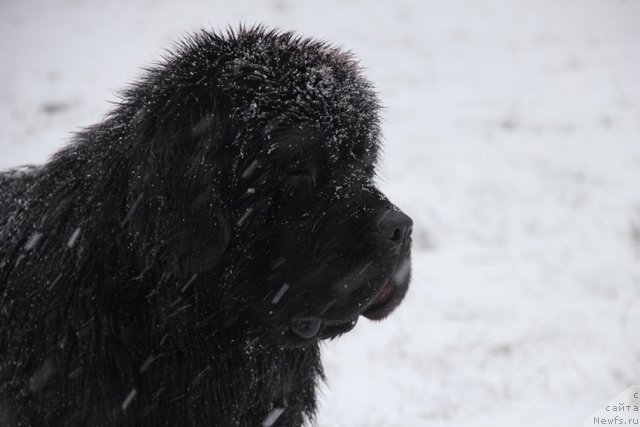 Фотография № 112805