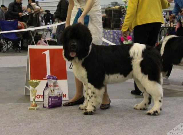 Фотография № 112806