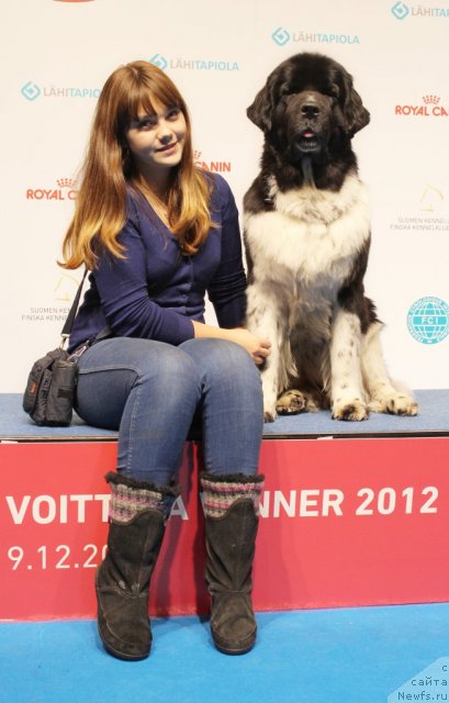 Фото: ньюфаундленд Piternyuf I Did It Again (Питерньюф И Дид Ит Агаин), Anastasiya Kormakova (Анастасия Кормакова)