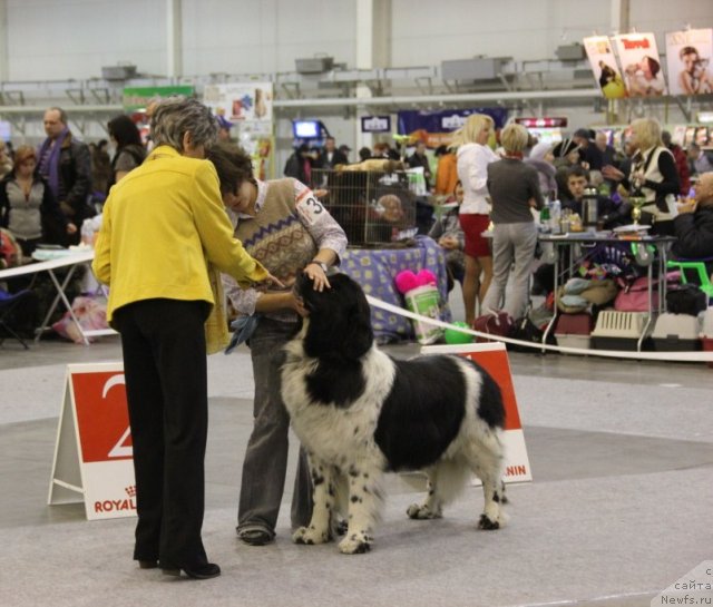 Фотография № 112813