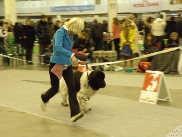 Фотография № 112836