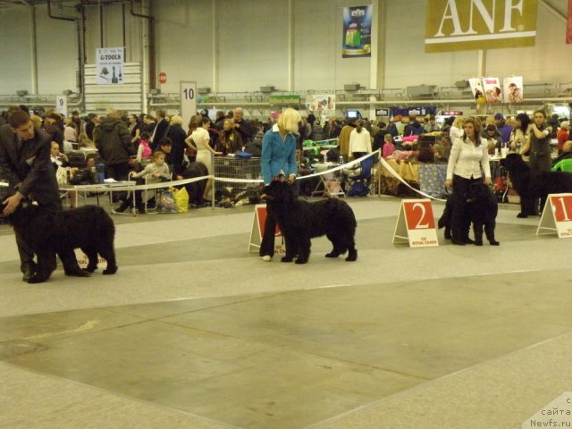 Фотография № 112845