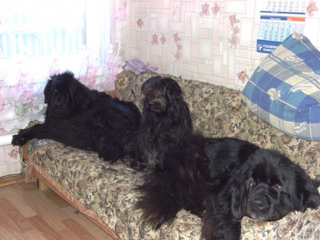 Фотография № 112851