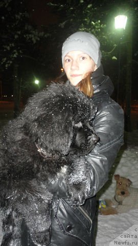 Фотография № 112855