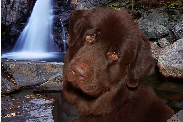 Фотография № 112873