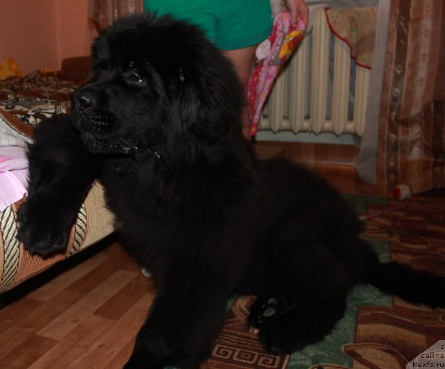 Фотография № 112877