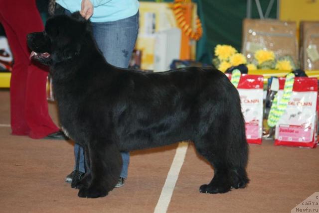 Фотография № 11292