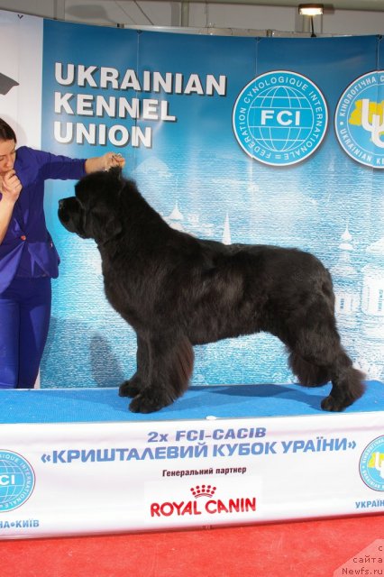 Фотография № 112924