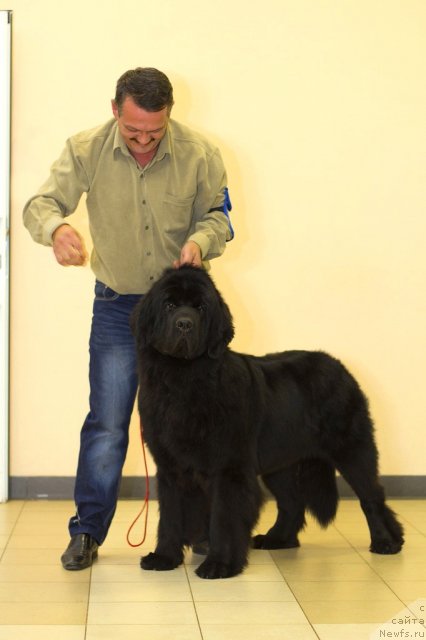 Фотография № 112931