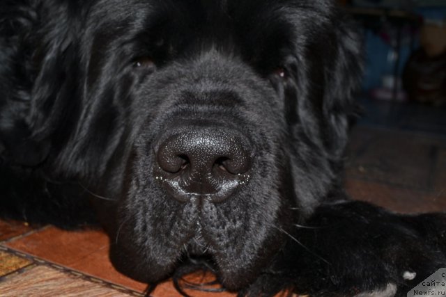 Фотография № 112938