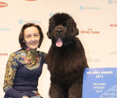 Фото: Ol'ga Koroleva (Ольга Королева), ньюфаундленд Beguschaya po Volnam Dancing Queen (Бегущая по Волнам Дансинг Квин)