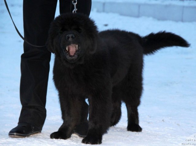 Фотография № 112973