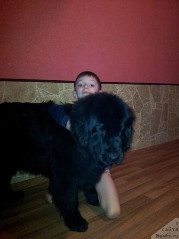 Фотография № 112993