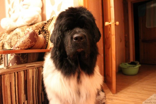 Фотография № 112994