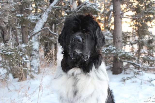 Фотография № 112995