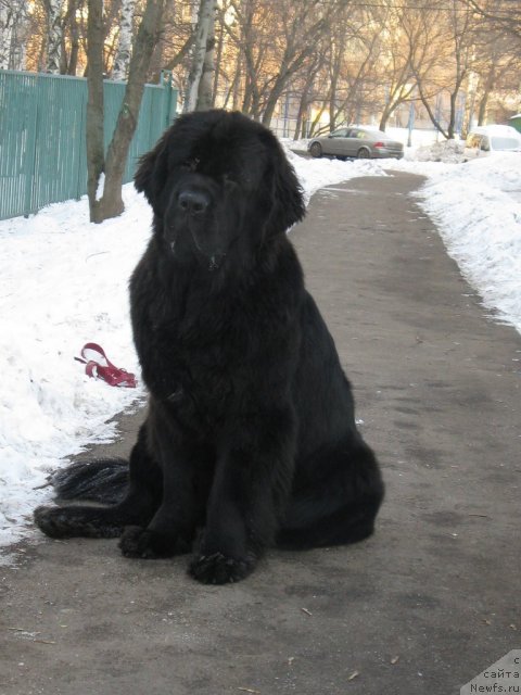 Фотография № 113004