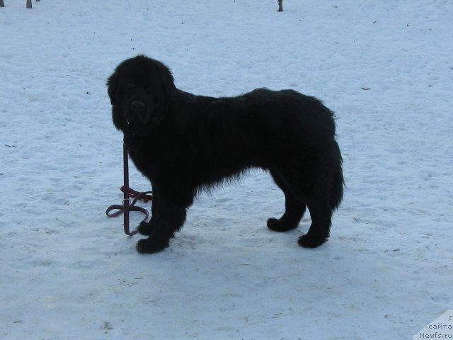 Фотография № 113007