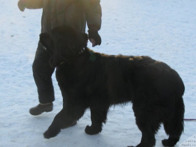 Фотография № 113008