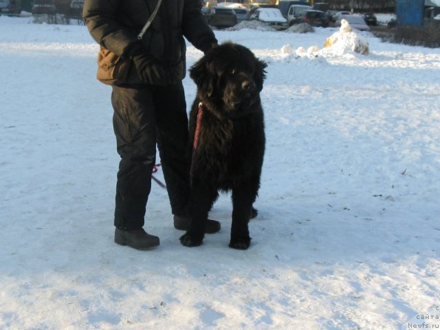 Фотография № 113009